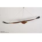 Wedge Tailed Eagle Flying – Adelaar beeld Breedte 185 cm, Nieuw, Ophalen of Verzenden