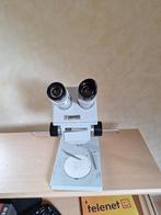 Binoculaire microscoop Zeiss, Hobby en Vrije tijd, Overige Hobby en Vrije tijd, Optica, Gebruikt, Ophalen