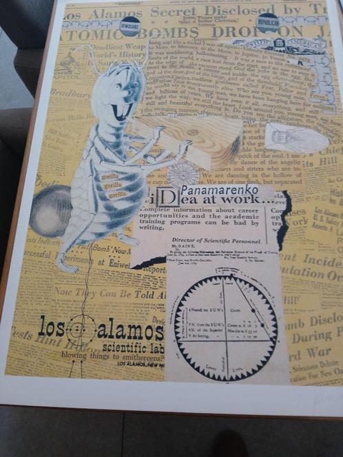 Panamarenko, Antiek en Kunst, Kunst | Litho's en Zeefdrukken, Ophalen of Verzenden
