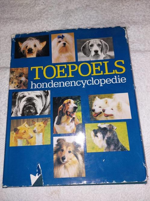 1 boek Toebels hondenencyclopedie, jaren 1970, Antiquités & Art, Curiosités & Brocante, Enlèvement ou Envoi
