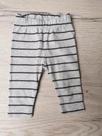 H&M legging 50, Enfants & Bébés, Vêtements de bébé | Taille 50, Comme neuf, Garçon ou Fille, Enlèvement ou Envoi, H&M