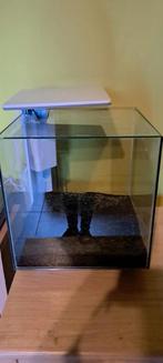 Aquarium Superfish 60 litres, Enlèvement