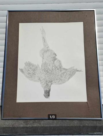 Lithographie oiseaux mort signe paul georges klein  beschikbaar voor biedingen