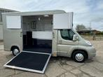 Paardenvrachtwagen, nieuwe opbouw B, Dieren en Toebehoren, Paarden en Pony's | Trailers en Aanhangwagens, 2-paards trailer, Polyester