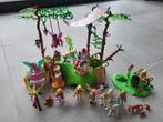 elfeneiland playmobil, Ophalen, Zo goed als nieuw, Complete set
