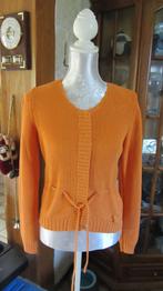 gilet Orange Donaldson XL, Donaldson, Ophalen, Nieuw, Oranje