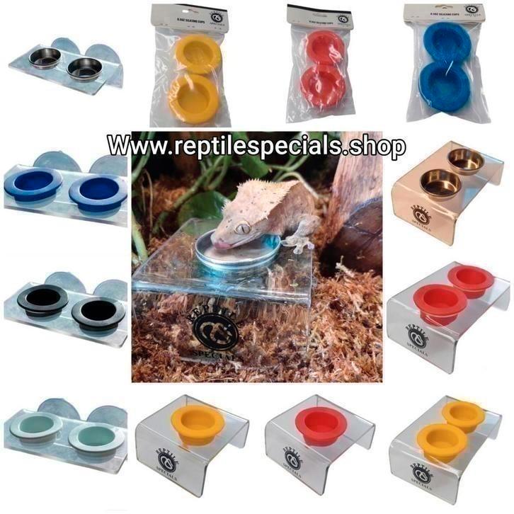 15. Feeding Cup Holder, Gecko, Dieren en Toebehoren, Reptielen en Amfibieën | Toebehoren, Nieuw, Overige typen, Ophalen of Verzenden