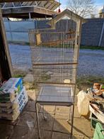 Vogelkooi, Dieren en Toebehoren, Vogels | Hokken en Kooien, Ophalen, Vogelkooi