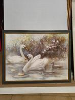 Peinture de cygne, Enlèvement