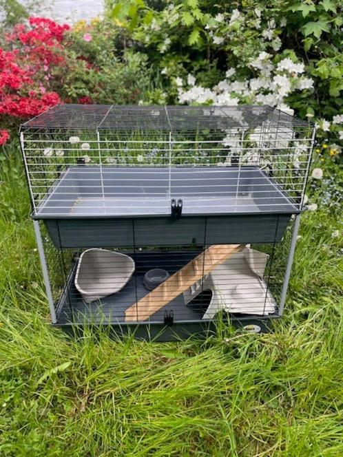 knaagdierkooi, Dieren en Toebehoren, Knaagdieren en Konijnen | Hokken en Kooien, Zo goed als nieuw, Kooi, 60 tot 90 cm, 110 cm of meer