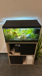 Aquarium aquabel avec poissons et décoration et meuble, Dieren en Toebehoren, Ophalen of Verzenden, Zo goed als nieuw