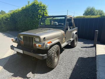 Jeep Wrangler Sahara YJ 2.5l 1990, Achat, Cabriolet, Boîte manuelle, Particulier