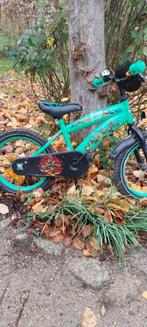 Groene turtles fiets, Enlèvement, Utilisé