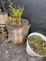 Tuin decoratie, Tuin en Terras, Tuinwanddecoratie, Ophalen of Verzenden