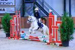 Fantastische kinderpony Welsh ruin, B, Gechipt, Ruin, B pony (1.17m tot 1.27m)