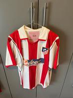 Shirt atletico madrid 2001-2002 fernando torres size L, Verzenden, Shirt