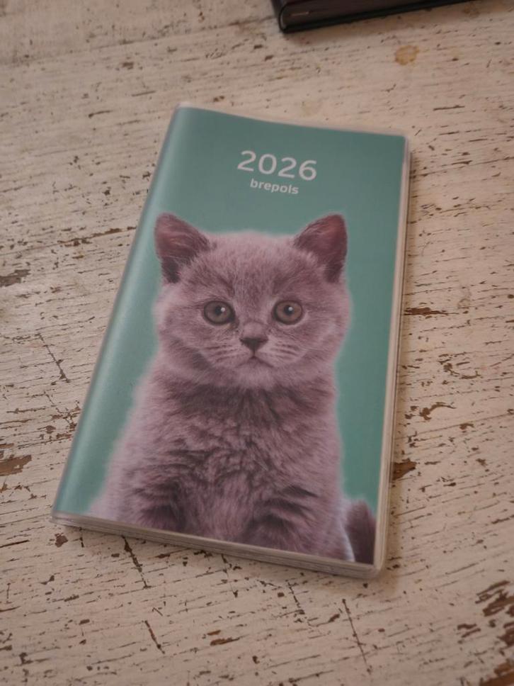 Interplan Amici, Boeken, Dieren en Huisdieren, Nieuw, Katten, Ophalen