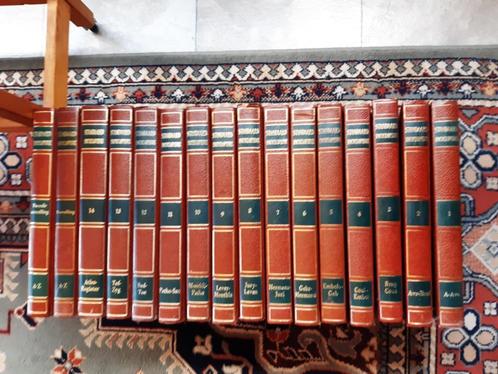 Standaard Encyclopedie, Boeken, Encyclopedieën, Zo goed als nieuw, Complete serie, Algemeen, Ophalen