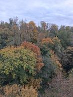 Offre emploi étudiant, Offres d'emploi