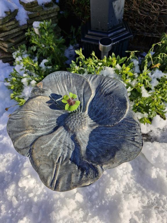 vogelvoederbak , bloemmotief, Jardin & Terrasse, Maisons & Bains d'oiseaux, Neuf, Enlèvement ou Envoi