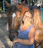 Lieve 6 jarige merrie, Dieren en Toebehoren, Merrie