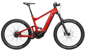 R&M Delite mountain rohloff beschikbaar voor biedingen