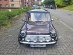 Austin Mini, Auto's, 4 zetels, Bruin, Leder, Bruin