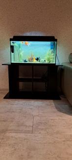 Aquarium 105l met staander, Dieren en Toebehoren, Ophalen