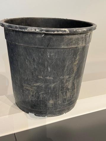 Grote kweekpotten in zware plastiek 23,5 x 22 cm beschikbaar voor biedingen