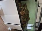 Aquarium red sea 650L +100l pour decant avec reserve EO, Ophalen, Gebruikt, Gevuld zeewateraquarium