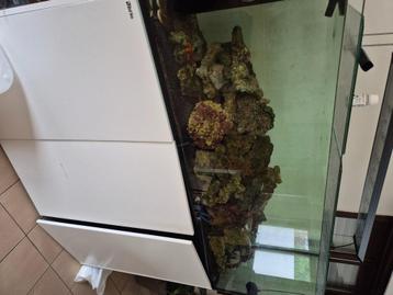 Aquarium red sea 650L +100l pour decant avec reserve EO beschikbaar voor biedingen