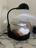Aquariam klein en let lamp, Dieren en Toebehoren, Vissen | Aquaria en Toebehoren, Ophalen, Zo goed als nieuw