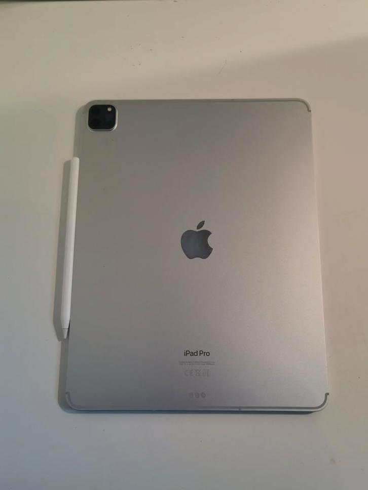 IPad 12.9 inch  6th generation 1TB WiFi + Cellular, Computers en Software, Apple iPads, Zo goed als nieuw, 13 inch of meer, 1 TB