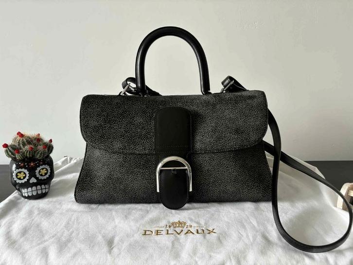 Prachtige Delvaux Brillant-tas (met laag haar), Handtassen en Accessoires, Tassen | Damestassen, Zo goed als nieuw, Ophalen