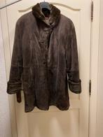 Dames winterjas, Ophalen, Nieuw, Maat 42/44 (L), Bruin