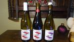 Lot nature Corentin houillon Savoie, Collections, Vins, Enlèvement ou Envoi, Pleine, Comme neuf, Vin blanc