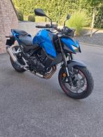 Honda hornet 750, Particulier