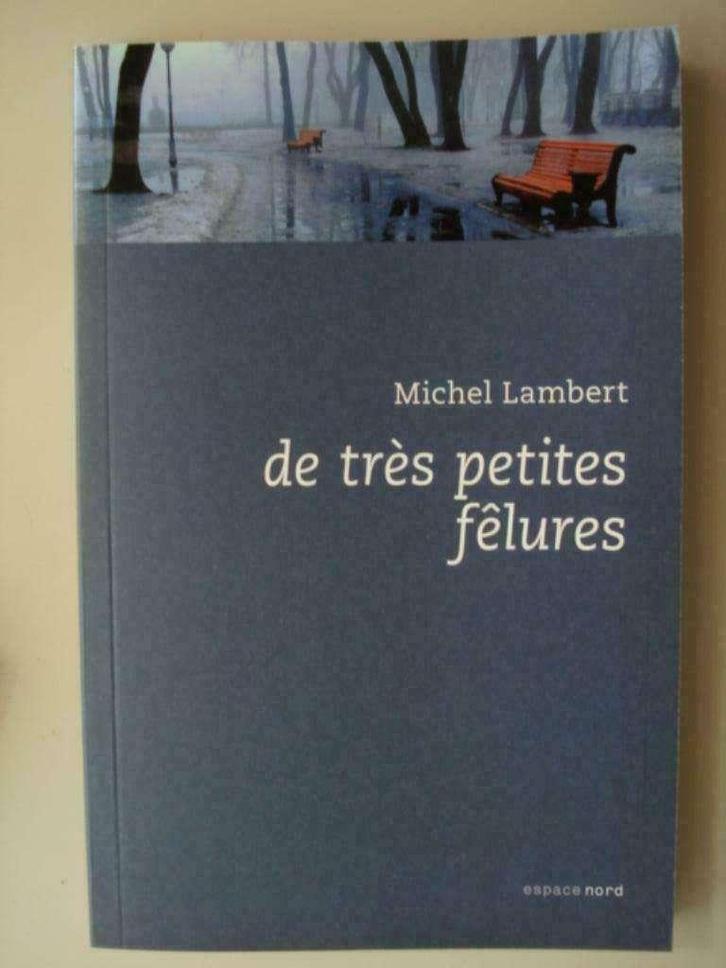 7. Michel Lambert De très petites fêlures Espace Nord 305 20, Boeken, Romans, Zo goed als nieuw, België, Verzenden