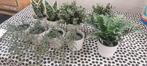 Lot de 21 plantes en plastique et cache pot, Ophalen, Overige soorten, In pot
