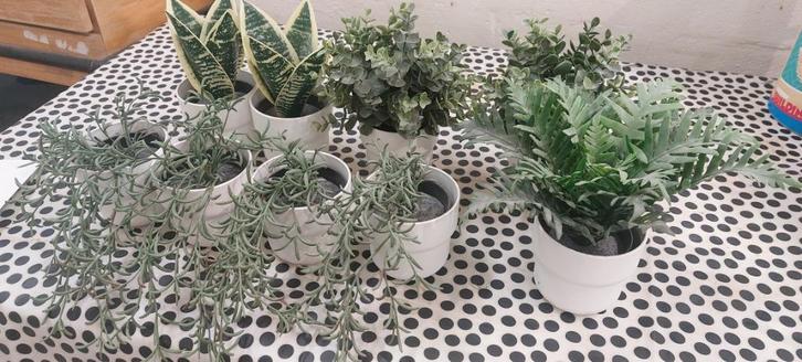 Lot de 21 plantes en plastique et cache pot, Huis en Inrichting, Kamerplanten, Overige soorten, In pot, Ophalen