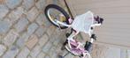 Kinderfiets, Fietsen en Brommers, Ophalen, Gebruikt, 16 tot 20 inch, Alpina