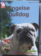 Engelse buldog, Ophalen of Verzenden