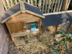 twee schattige konijnen, Dieren en Toebehoren, Konijnen, Mannelijk, Klein, 0 tot 2 jaar