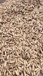 Gewassen witloofwortelen te koop, Zakelijke goederen, Landbouw | Veevoer, Ophalen of Verzenden