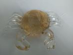 Crabe en verre, Neuf