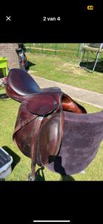 Springzadel, Dieren en Toebehoren, Ophalen, Gebruikt, Springen