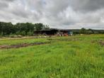 2 ha weiland met agrarisch gebouw, Dieren en Toebehoren