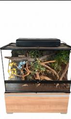 Compleet terrarium, Dieren en Toebehoren, Reptielen en Amfibieën, Overige soorten, Met terrarium, 0 tot 2 jaar