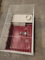 Cavia/konijnen hok, Dieren en Toebehoren, Ophalen, Hok, Cavia