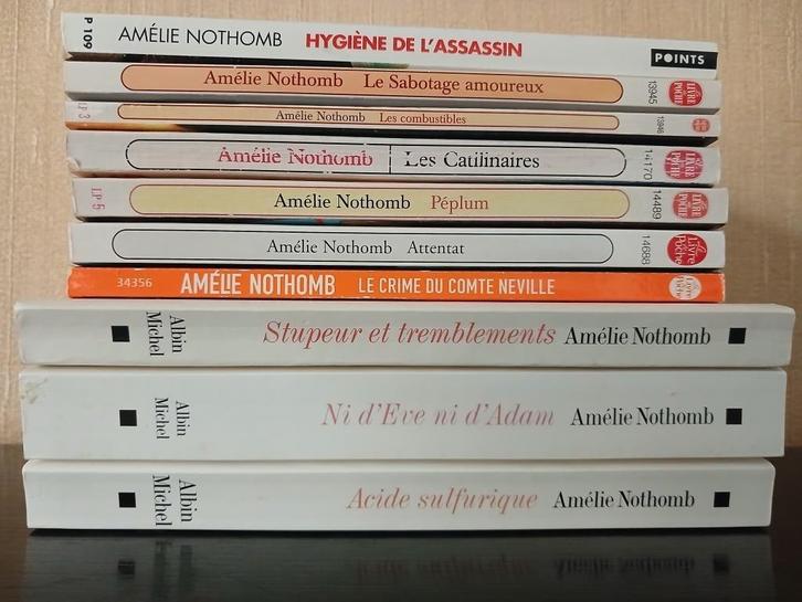 Romans van Amélie Nothomb - 10 waaronder 3 'Albin Michel', Boeken, Romans, Zo goed als nieuw, Wereld overig, Ophalen